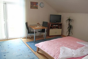 Apartmanske sobe "President" - Motel Zagreb